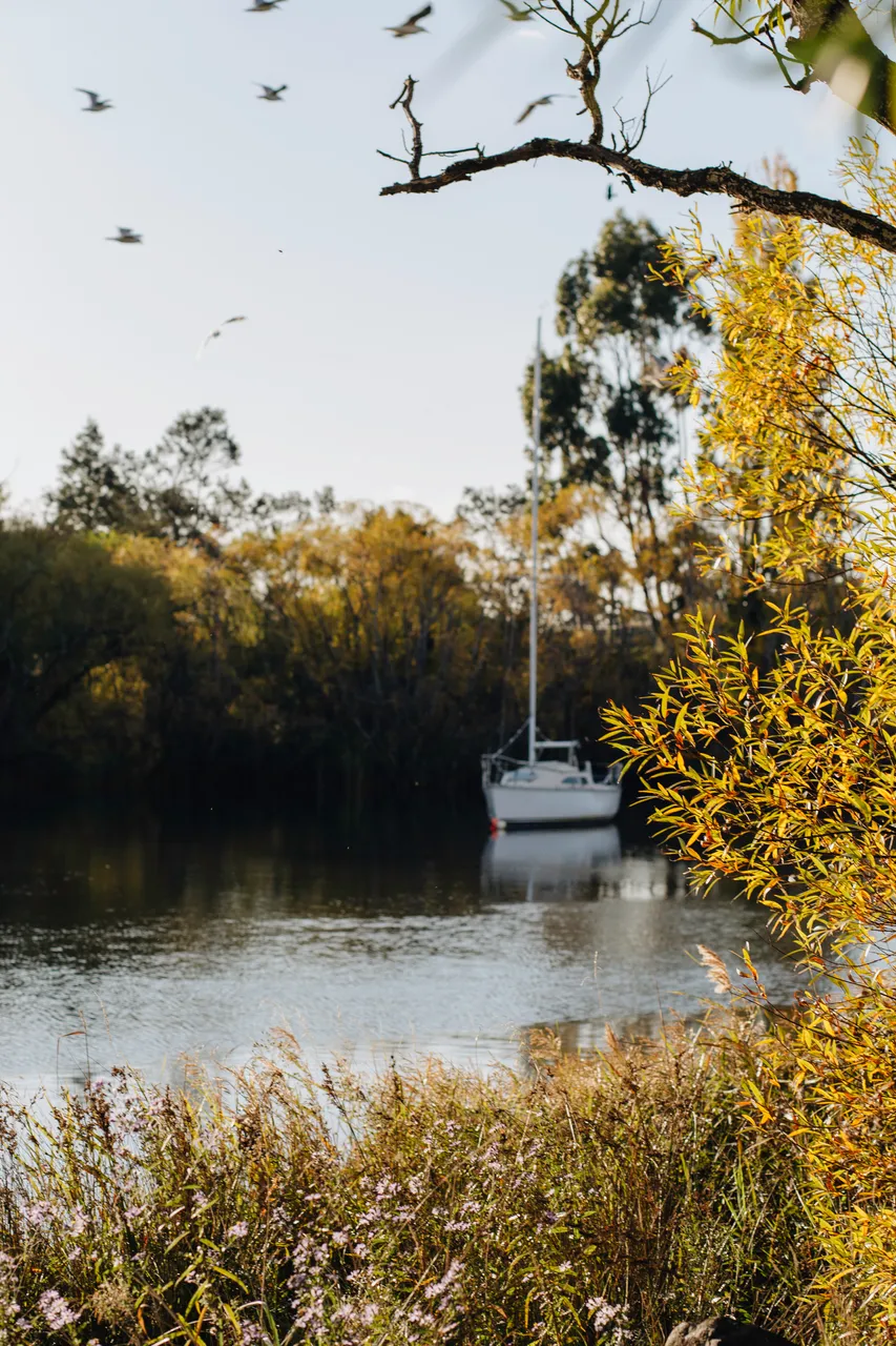 Boat on the Tamar