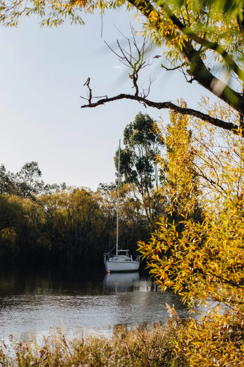 Boat on the Tamar