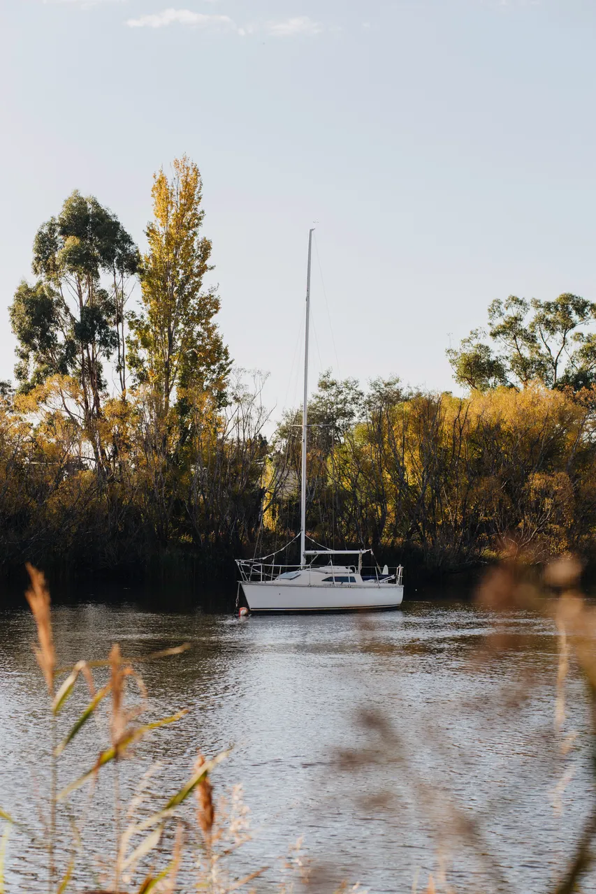 Boat on the Tamar