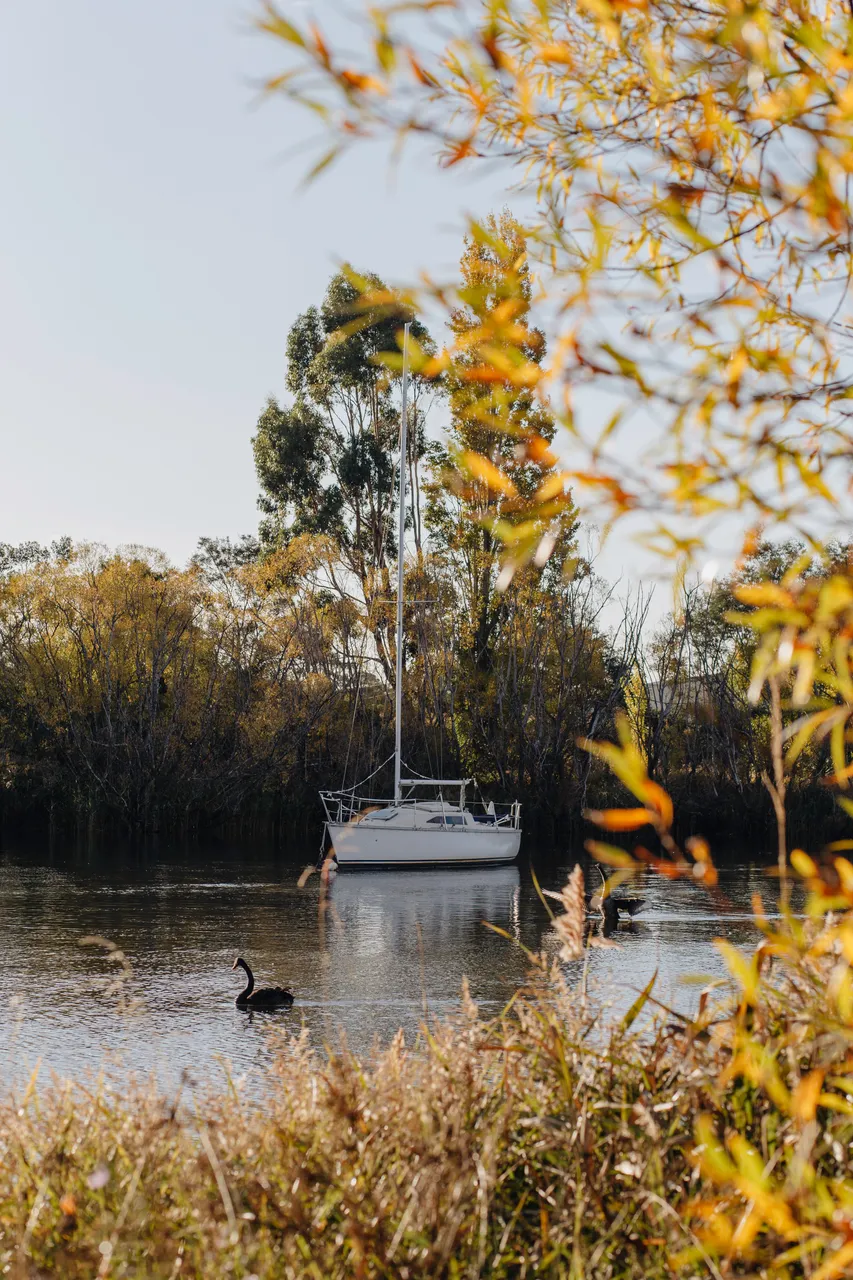 Boat on the Tamar