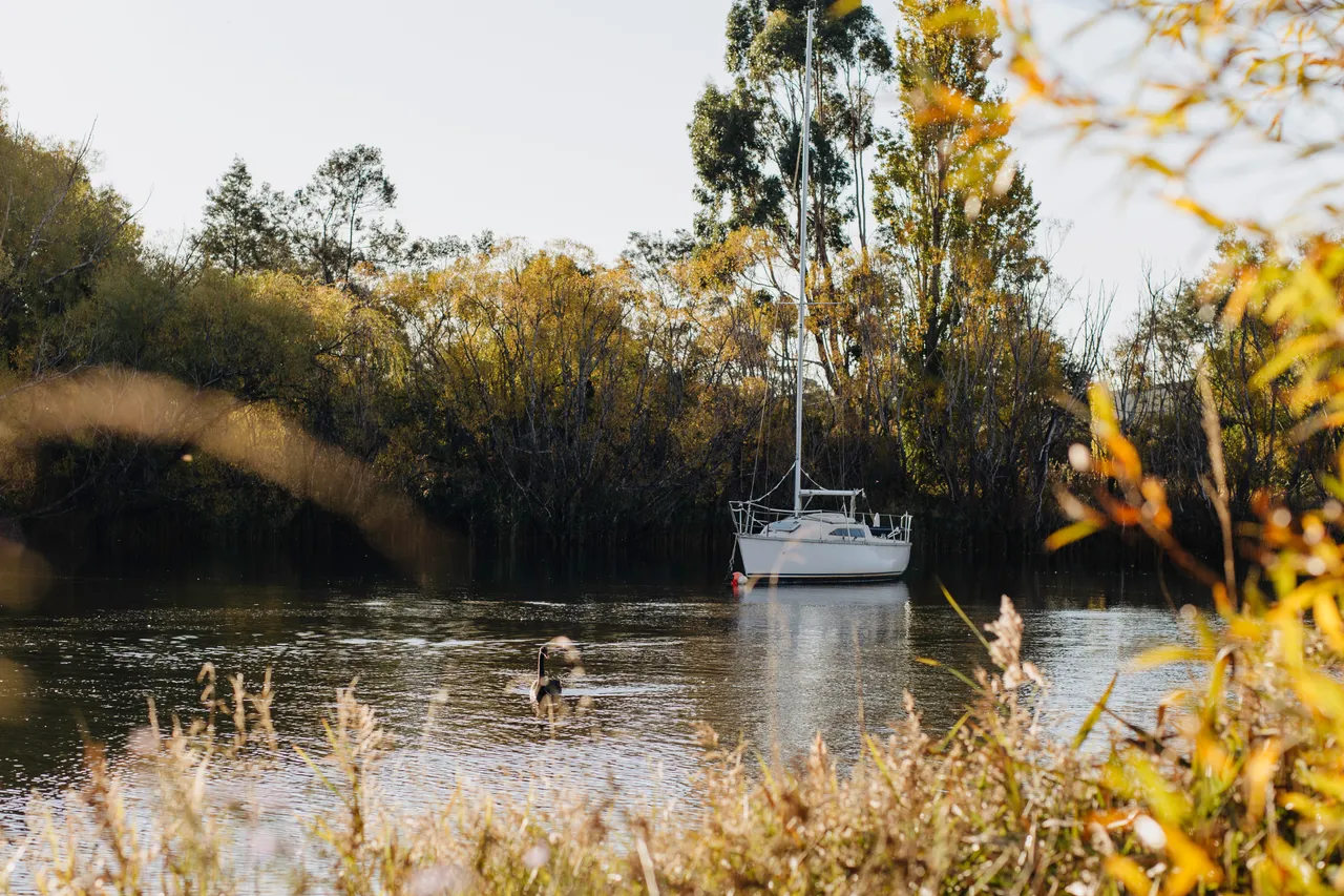 Boat on the Tamar