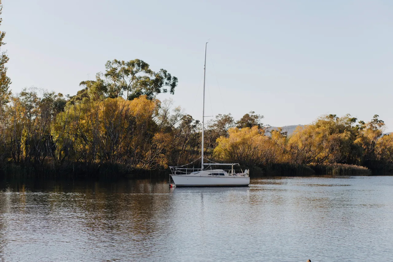 Boat on the Tamar