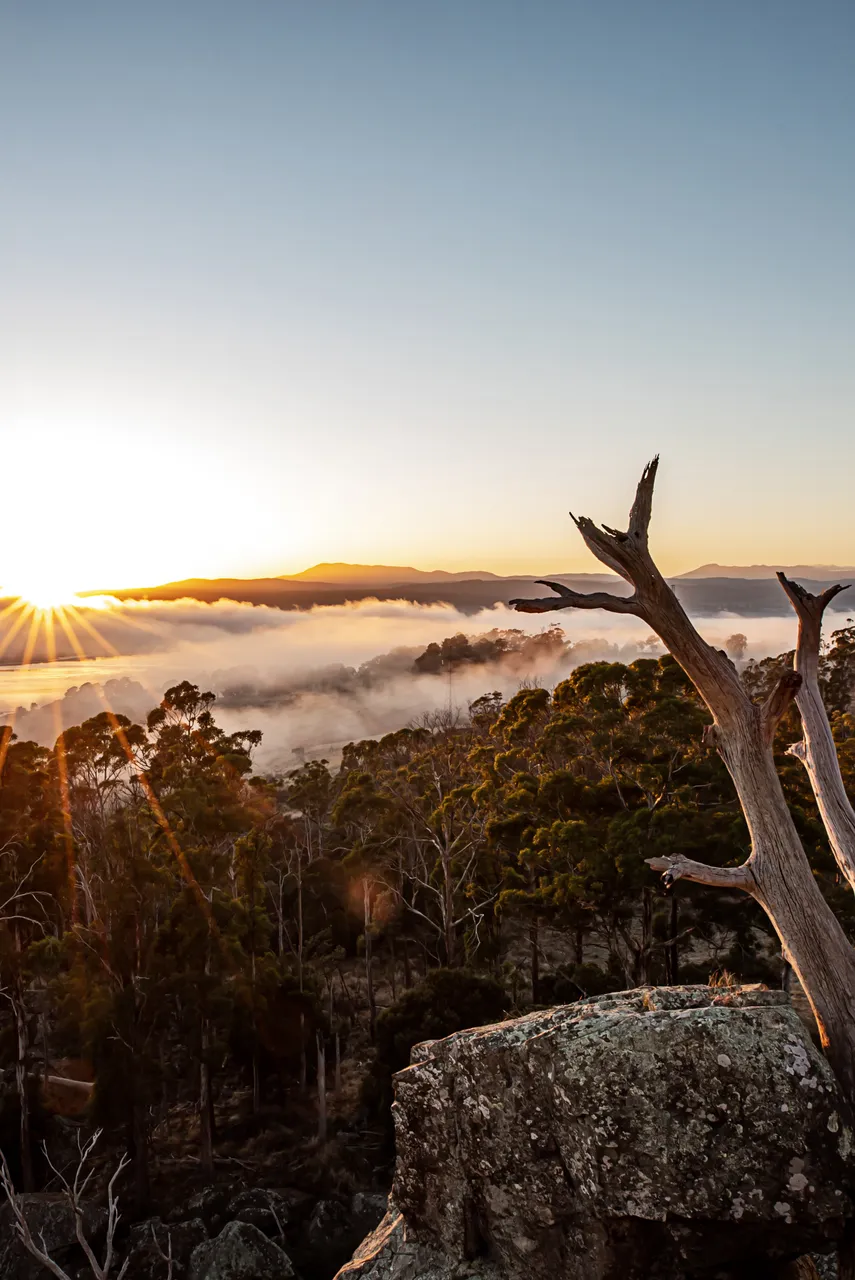 Tamar Valley Sunrise