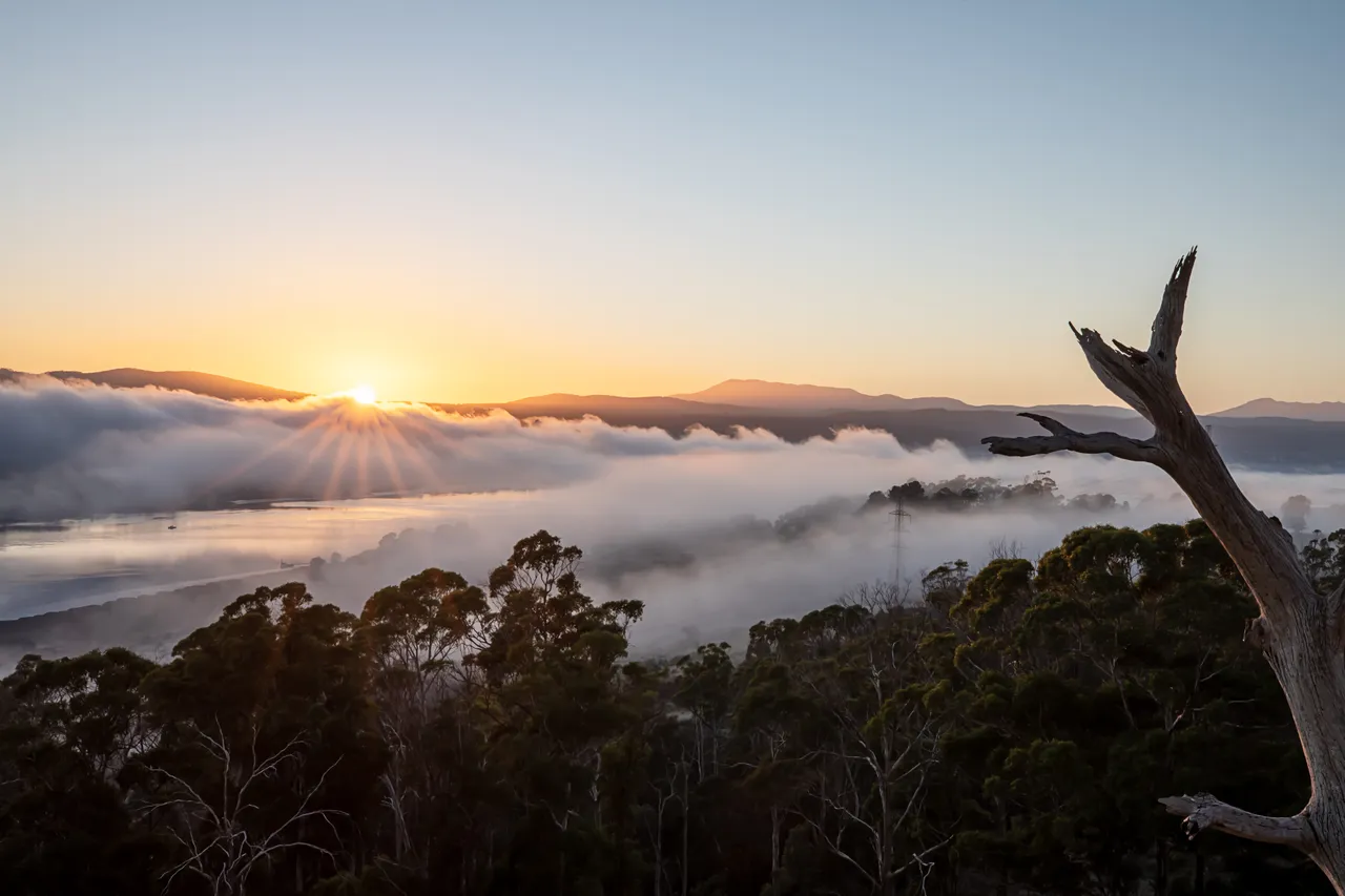Tamar Valley Sunrise