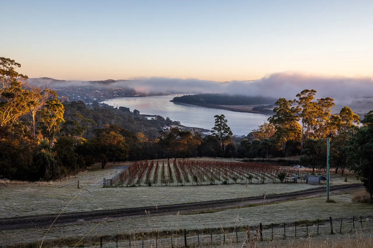 Tamar Valley Sunrise