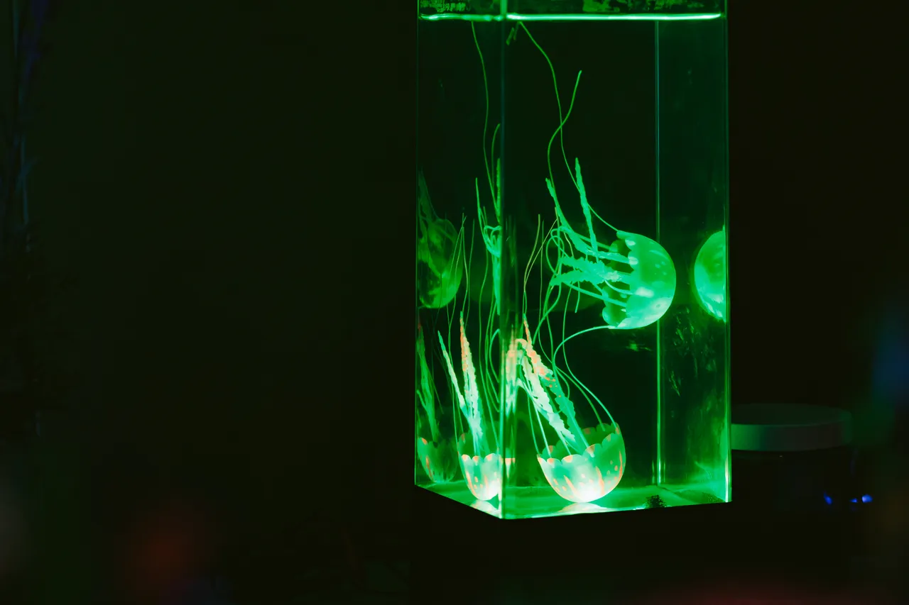 Glow Show at Beaker Street