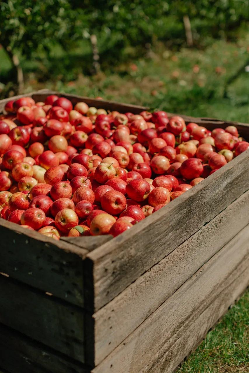 Apple Crate