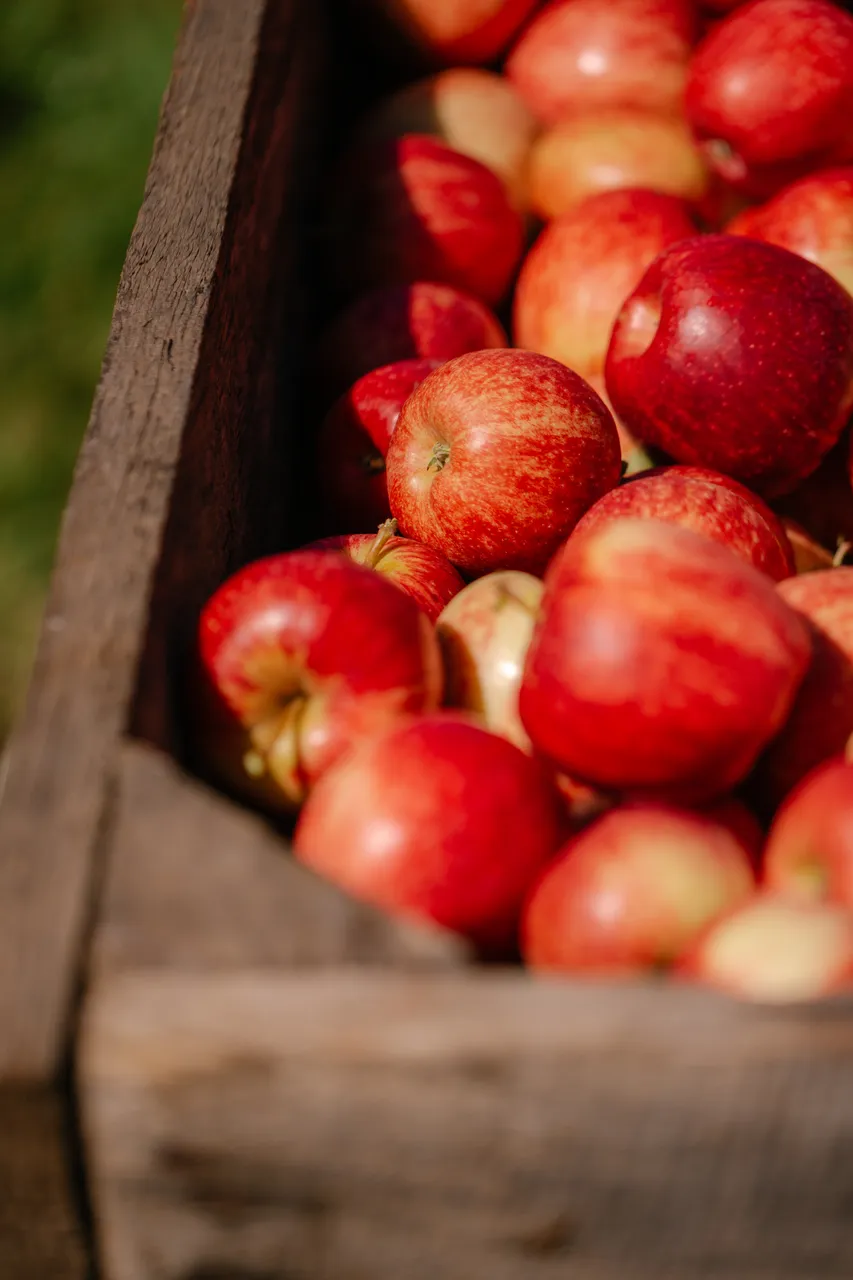 Apple Crate