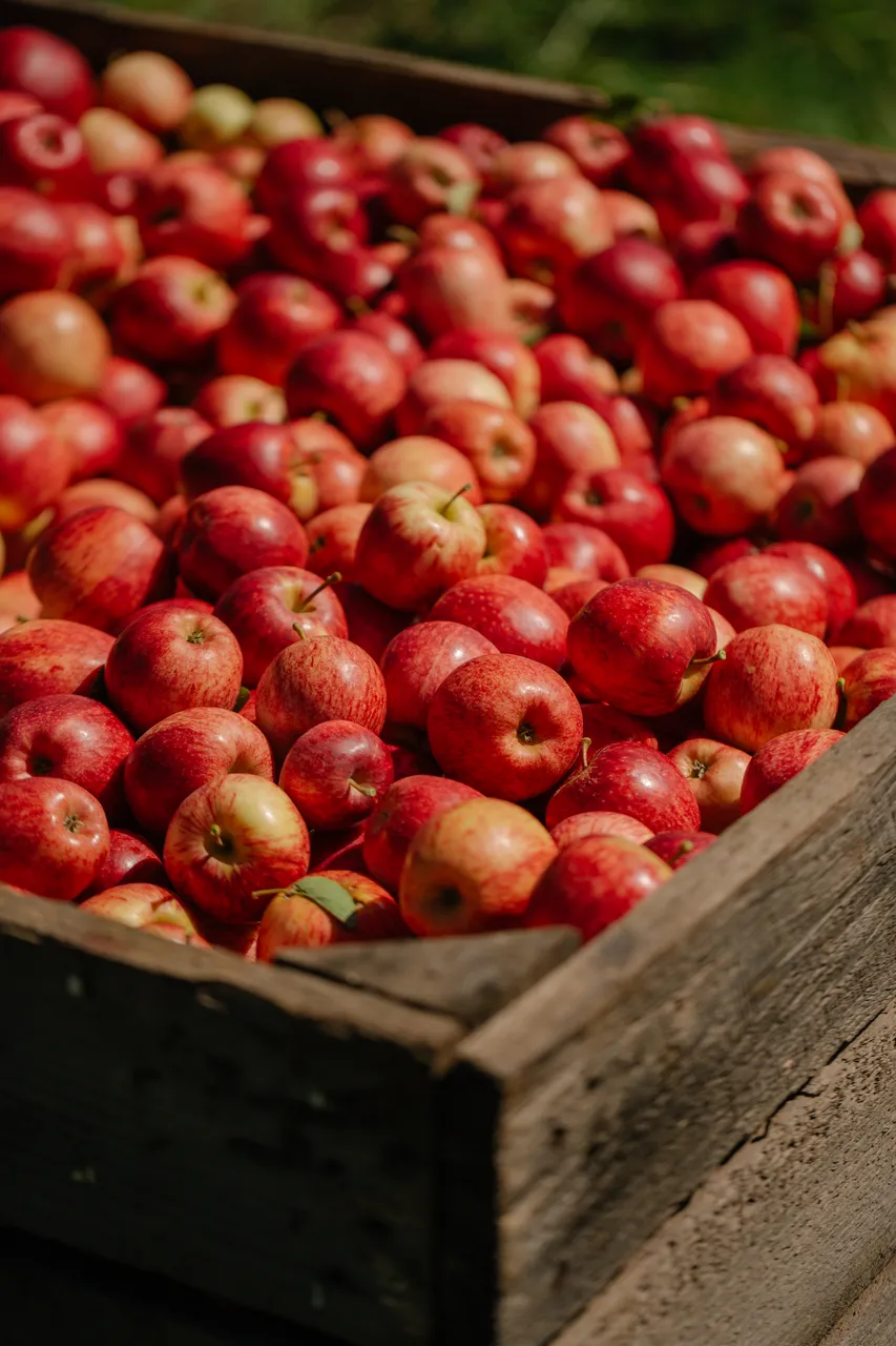 Apple Crate