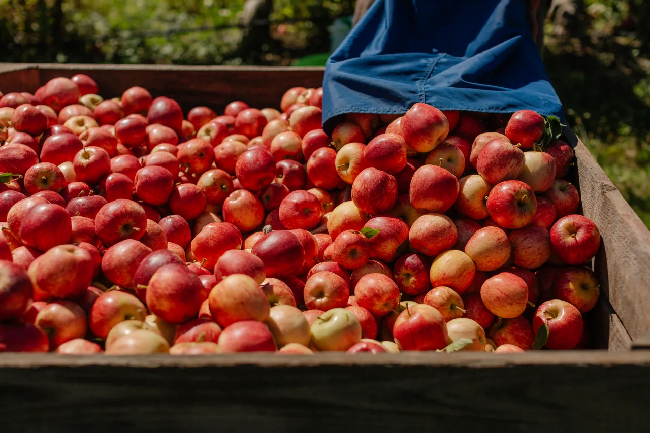 Apple Crate