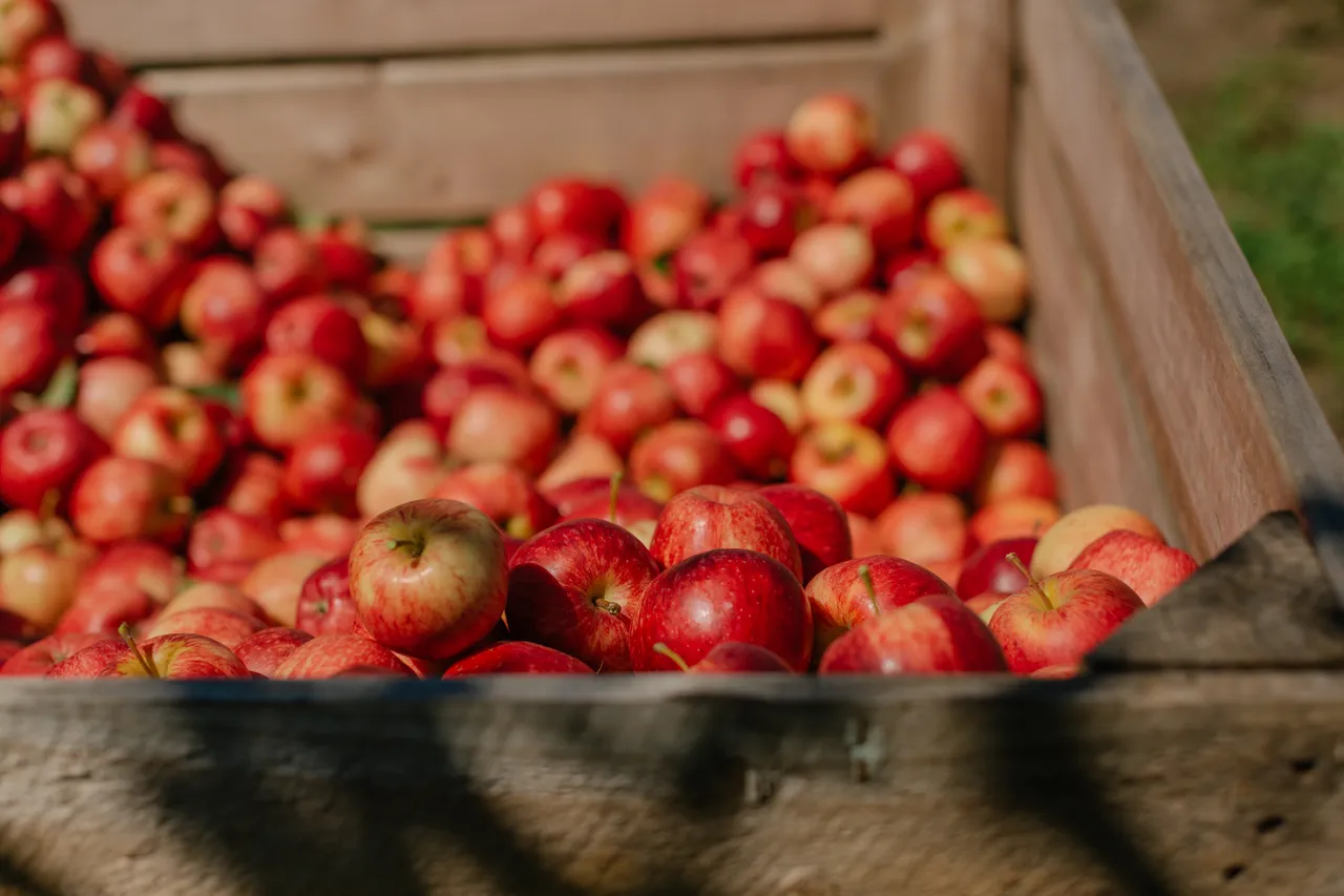 Apple Crate