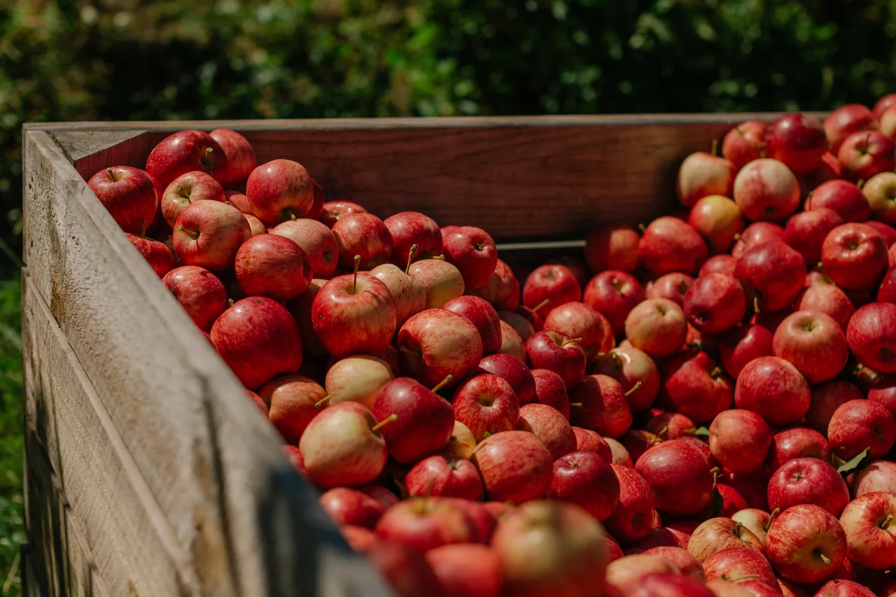 Apple Crate
