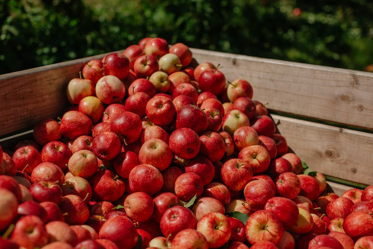 Apple Crate