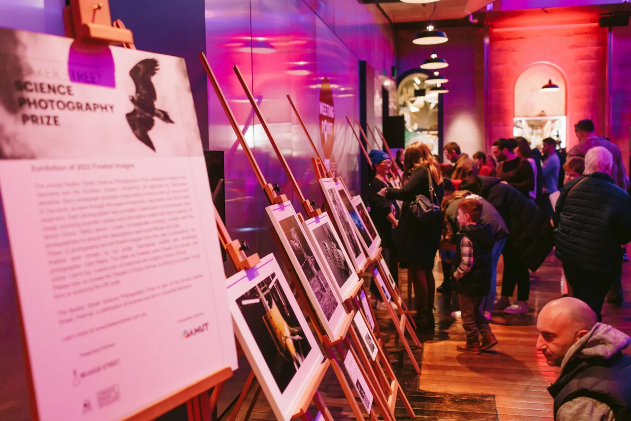 Beaker Street Festival Hub at TMAG
