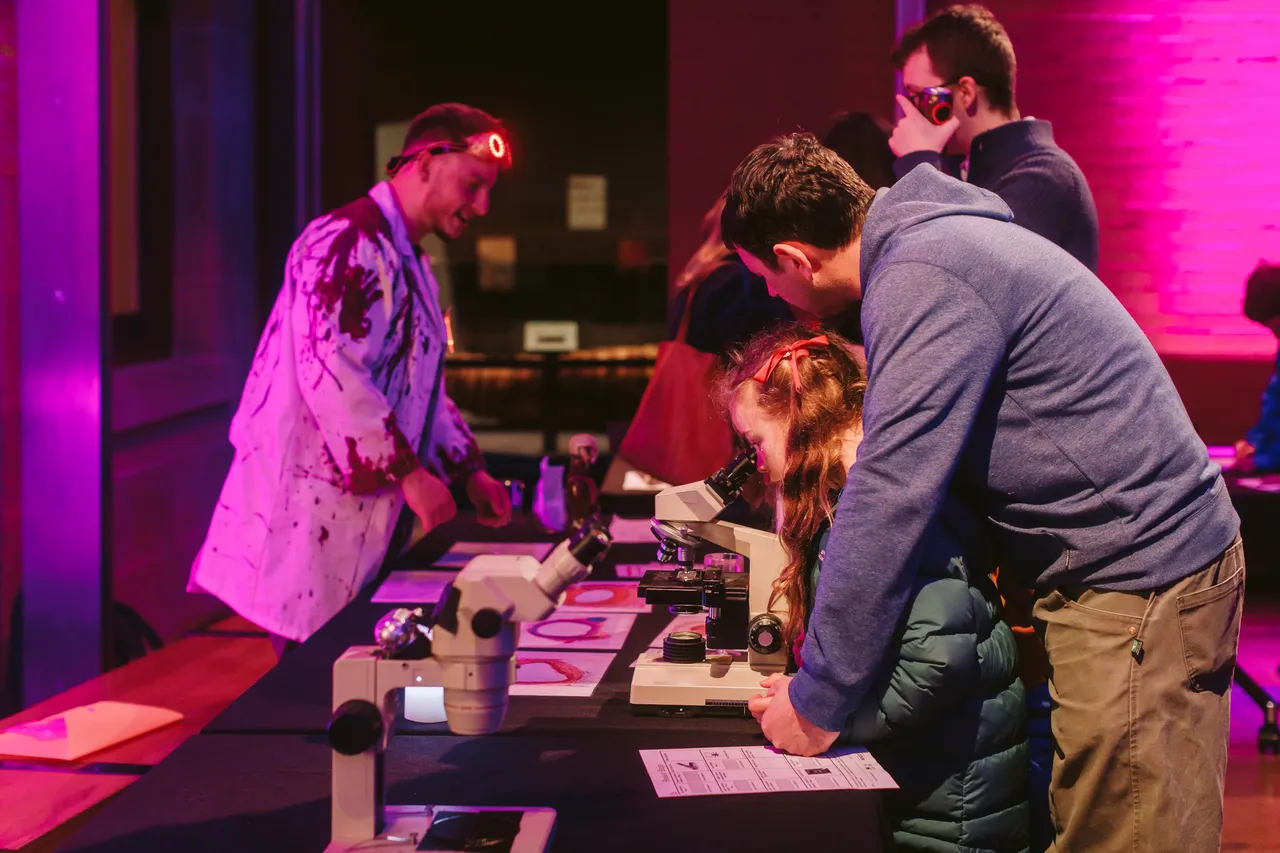 Beaker Street Festival Hub at TMAG