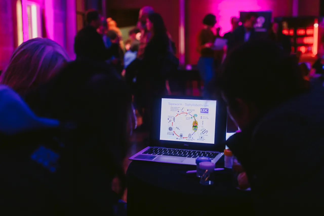 Beaker Street Festival Hub at TMAG
