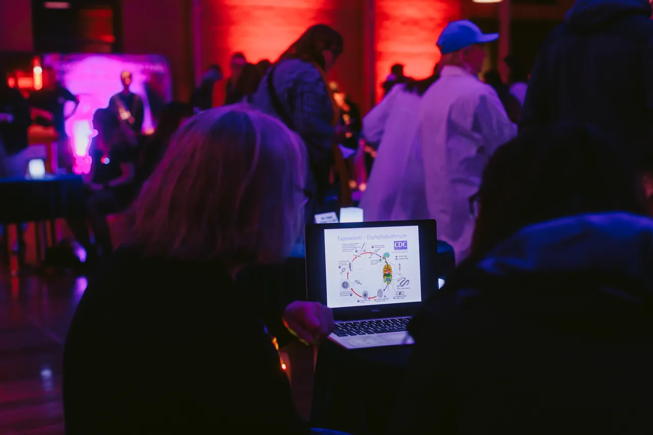 Beaker Street Festival Hub at TMAG