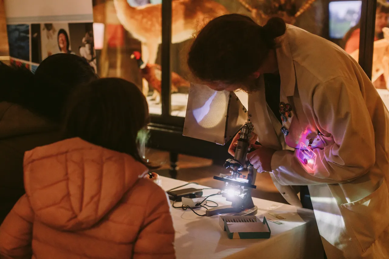 Beaker Street Festival Hub at TMAG