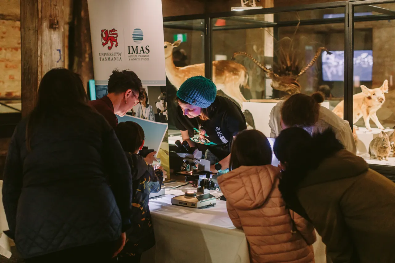 Beaker Street Festival Hub at TMAG