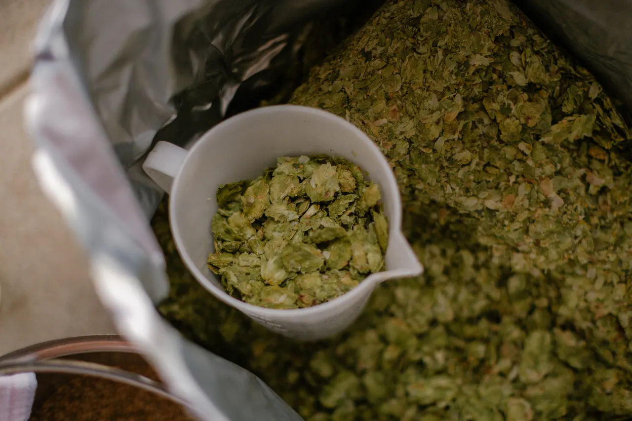 Dried Hops