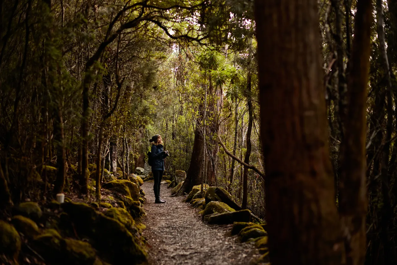 kunanyi / Mount Wellington