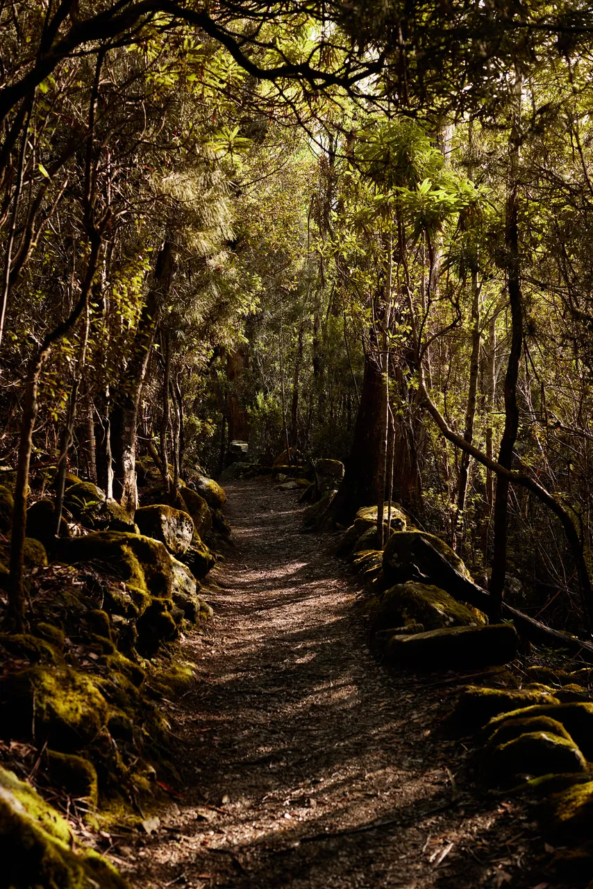 kunanyi / Mount Wellington