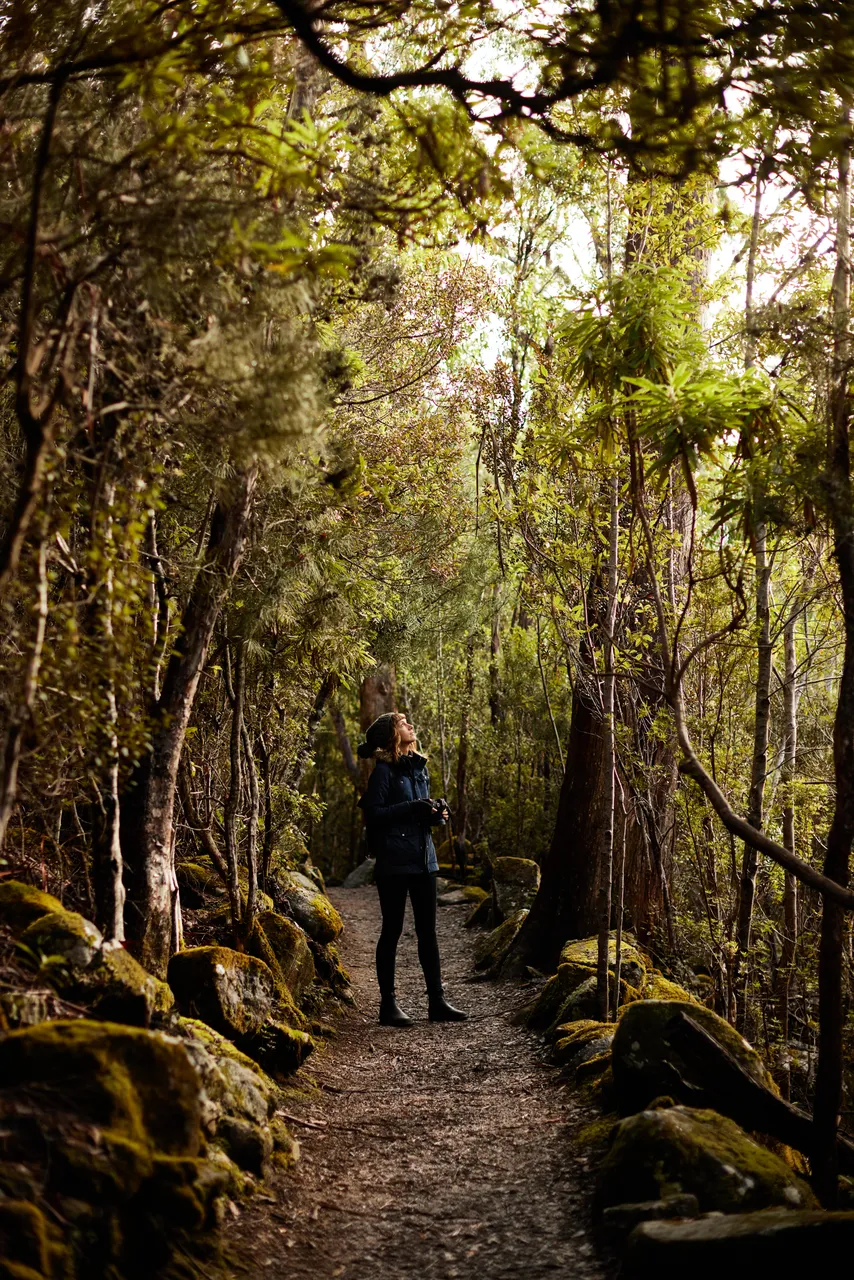 kunanyi / Mount Wellington