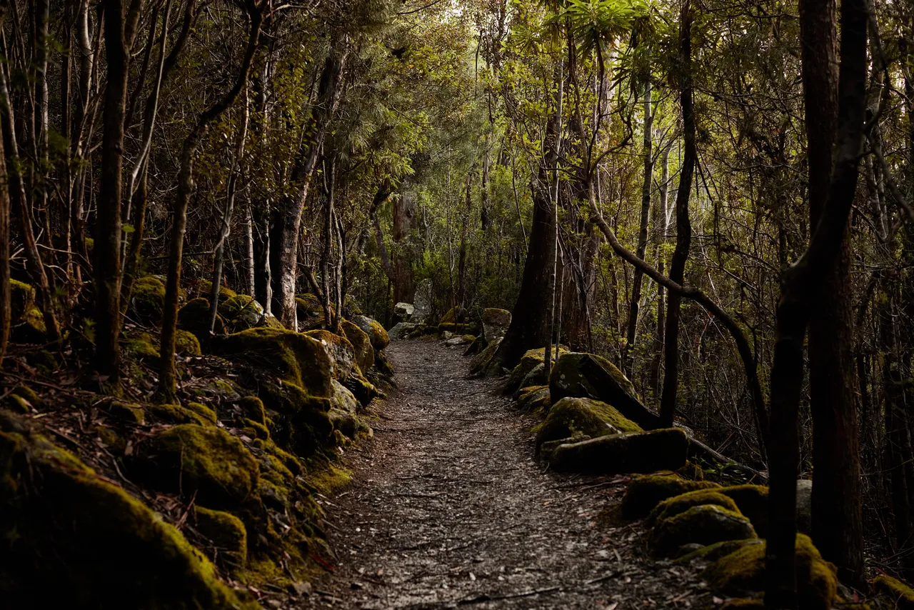 kunanyi / Mount Wellington
