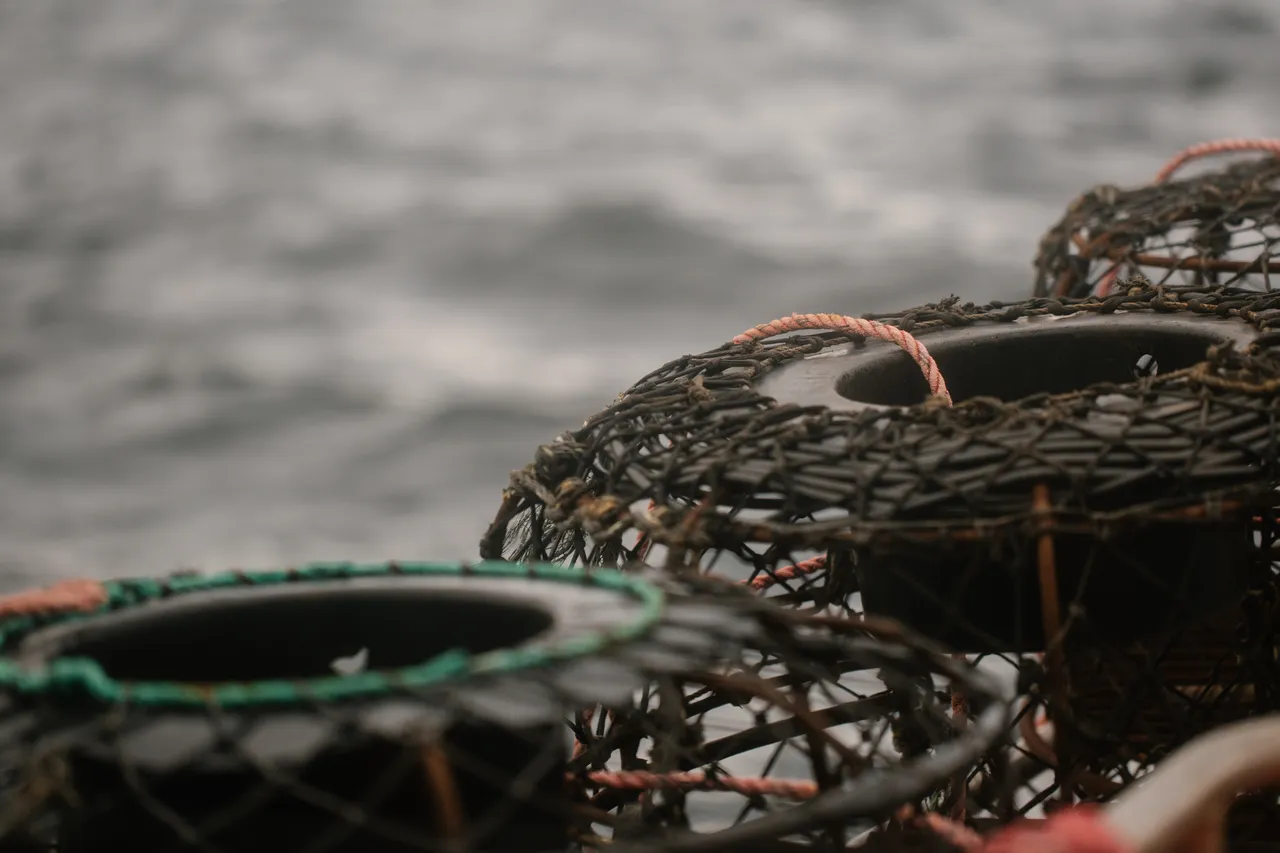 Rock Lobster Fishing Boat