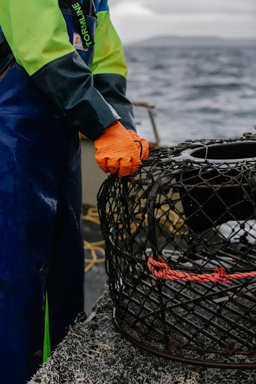 Rock Lobster Fishing Boat