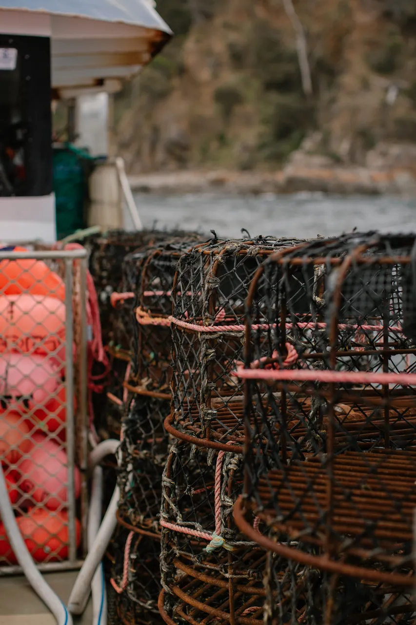Rock Lobster Fishing Boat