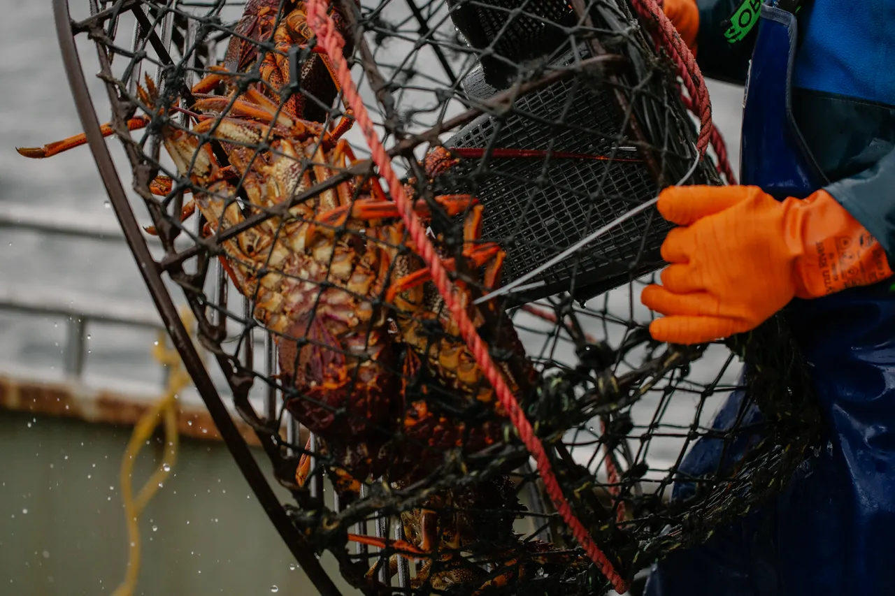 Rock Lobster Fishing Boat