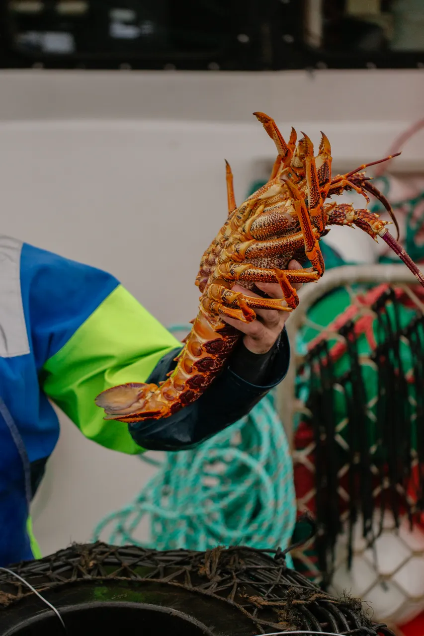 Rock Lobster Fishing Boat