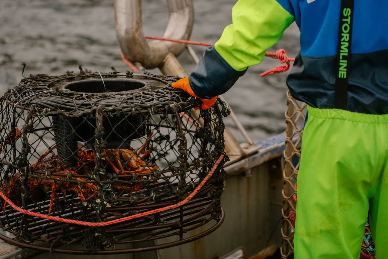 Rock Lobster Fishing Boat