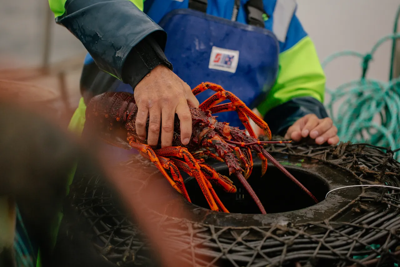 Rock Lobster Fishing Boat