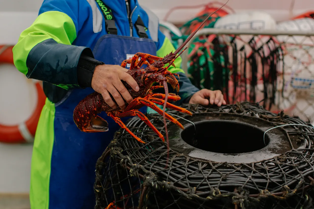 Rock Lobster Fishing Boat