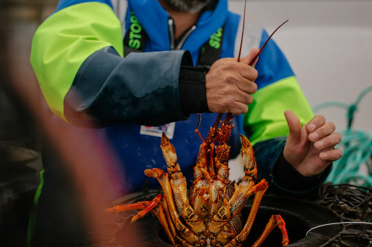 Rock Lobster Fishing Boat