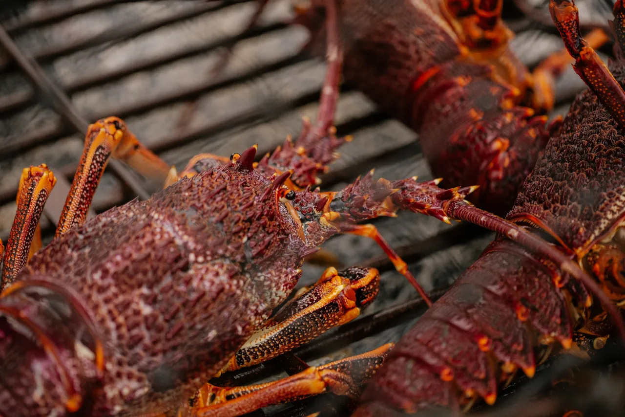 Rock Lobster Fishing Boat
