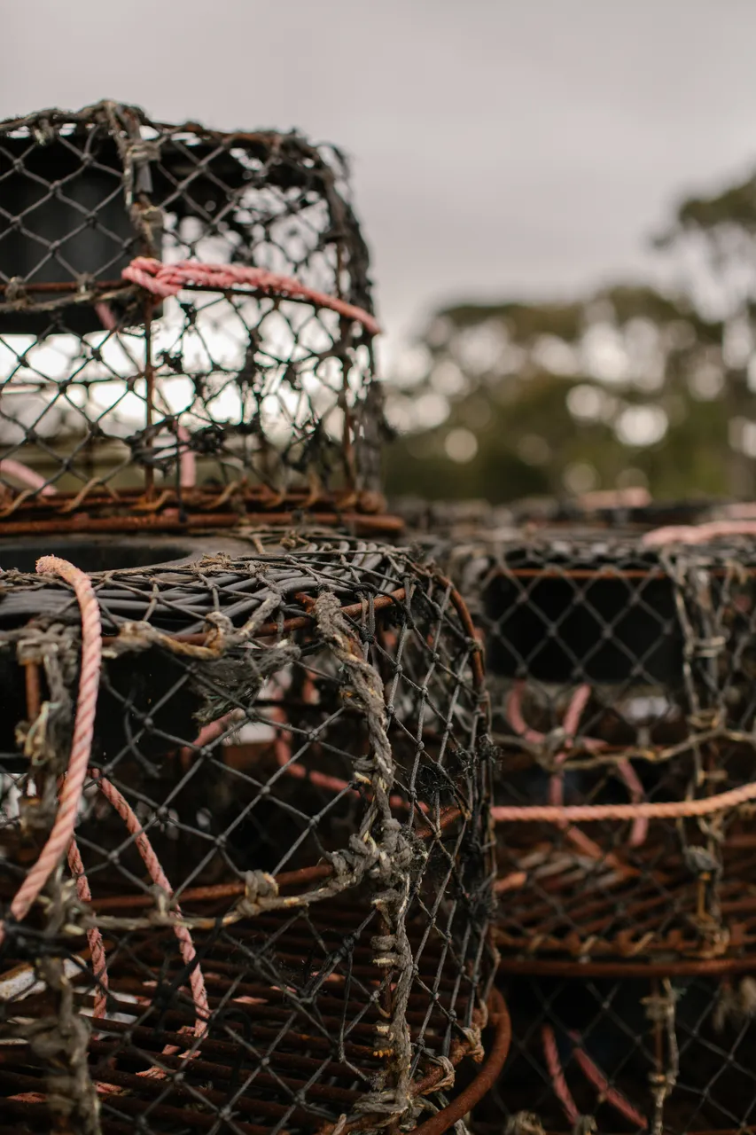 Rock Lobster Fishing Boat