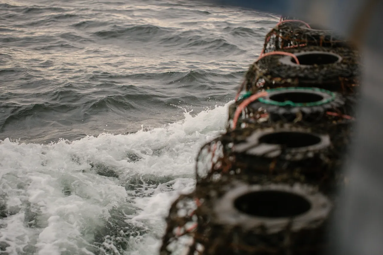 Rock Lobster Fishing Boat