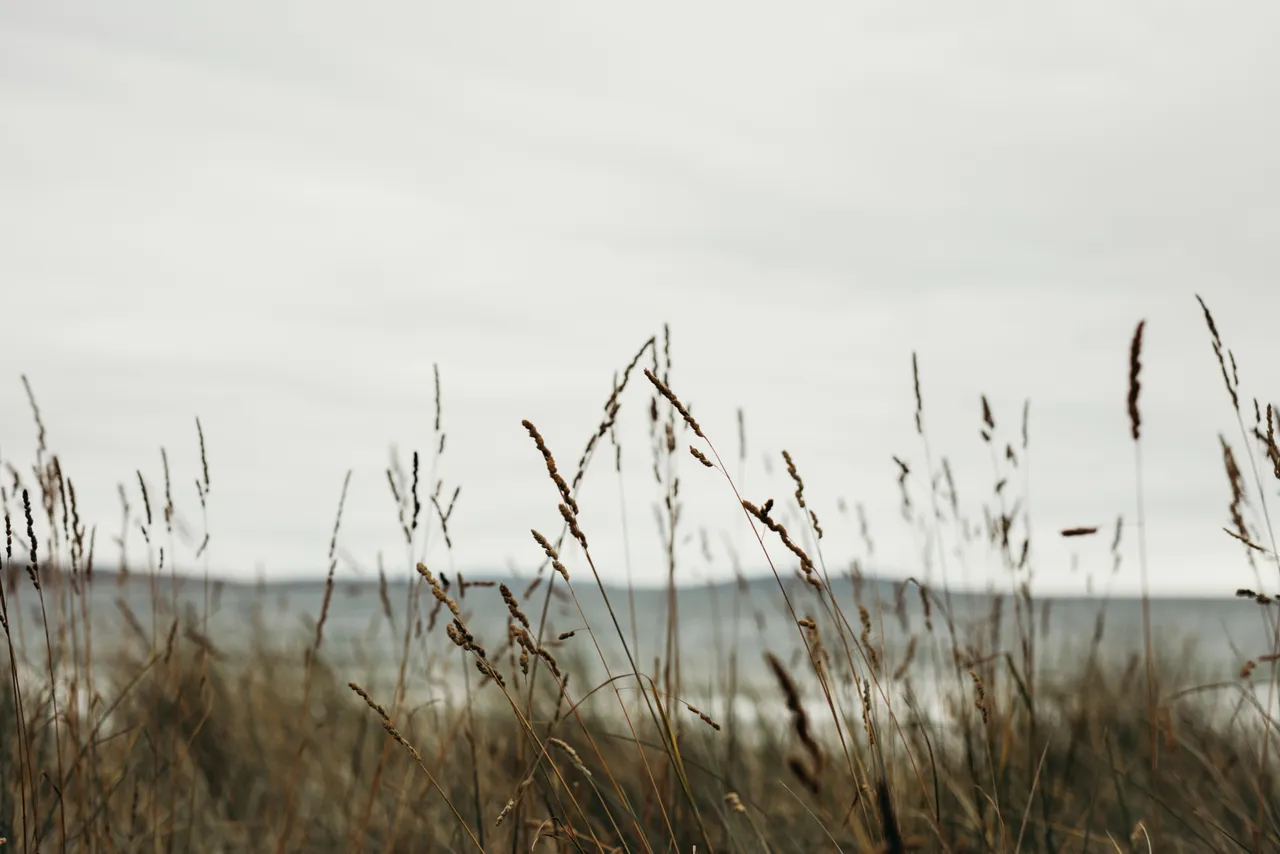 Kingston Beach