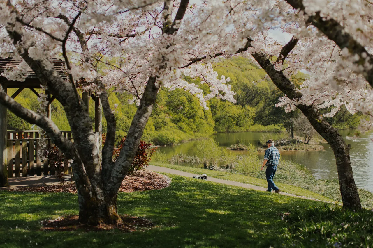 Deloraine in Spring