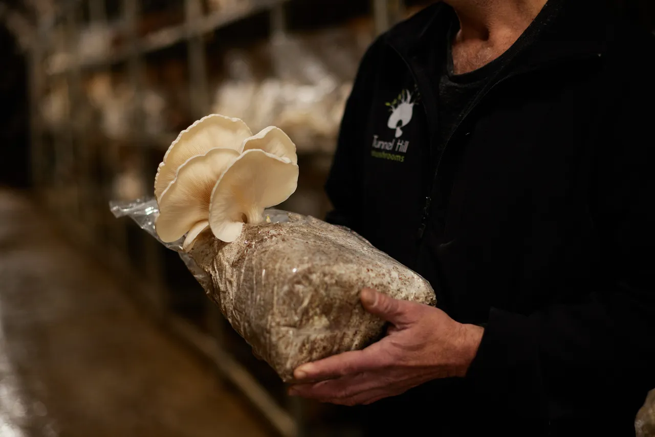 Dean Smith, Tunnel Hill Mushrooms