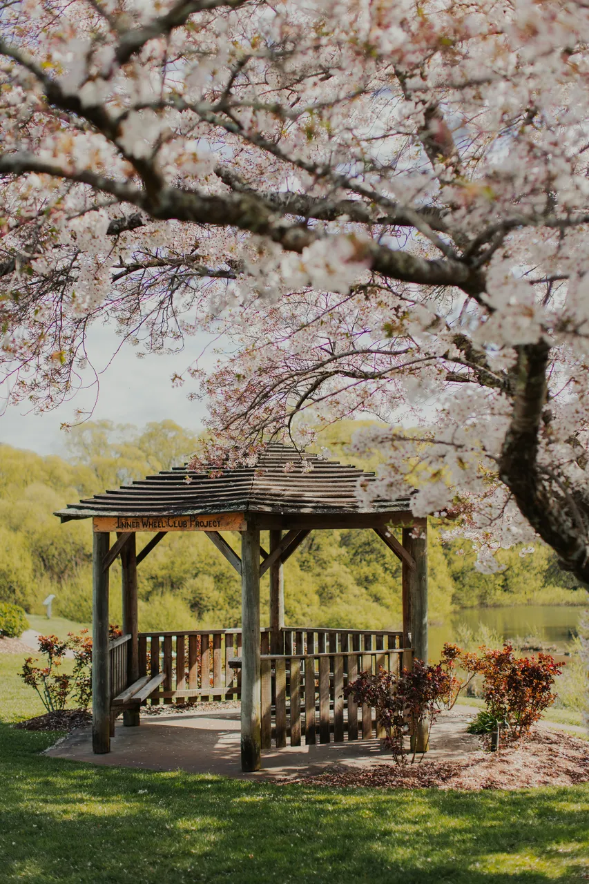 Deloraine in Spring