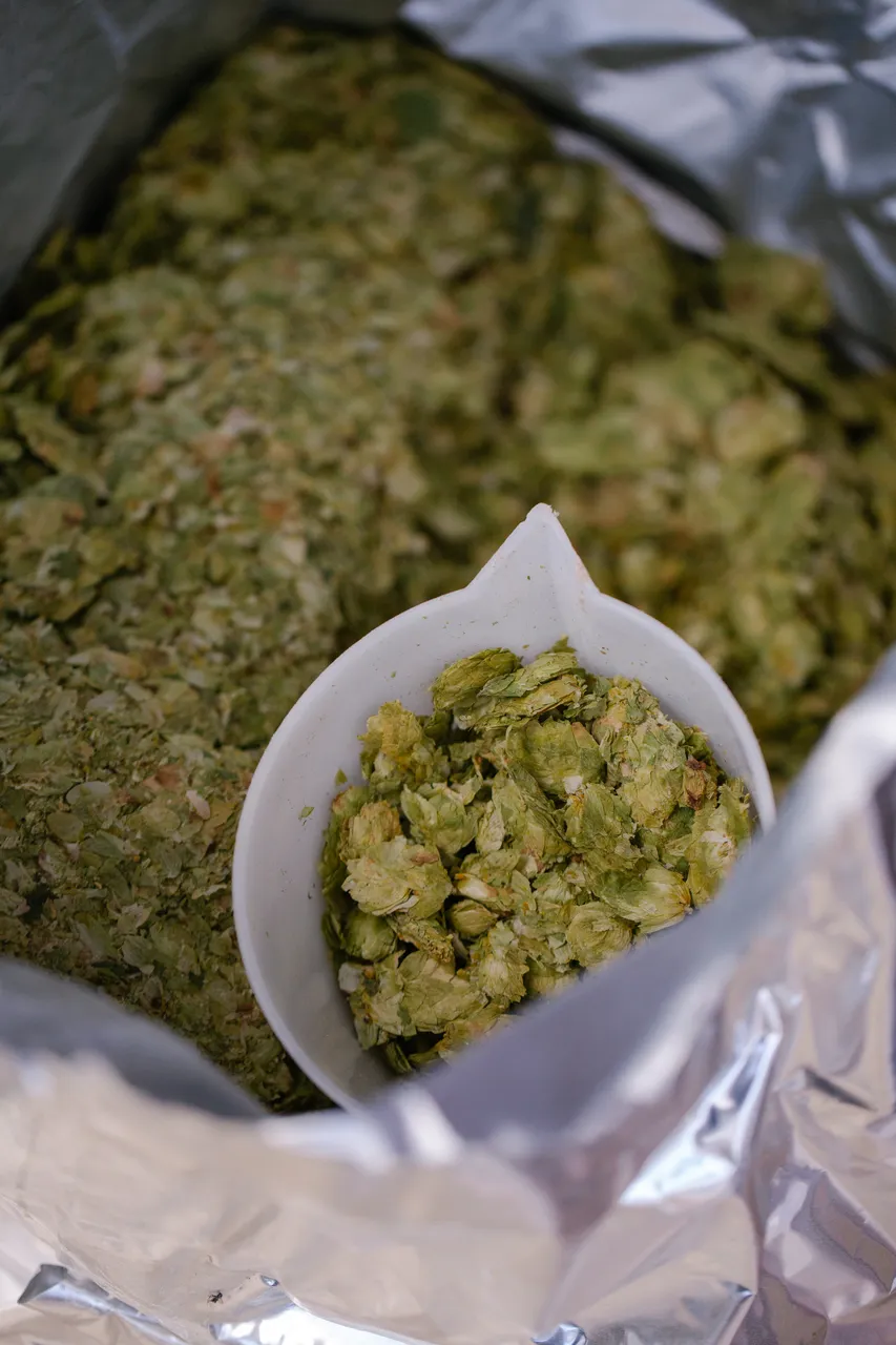 Dried Hops