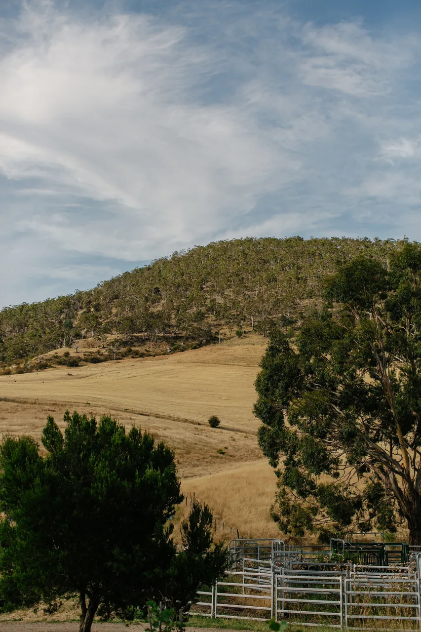 Derwent Valley Farmland