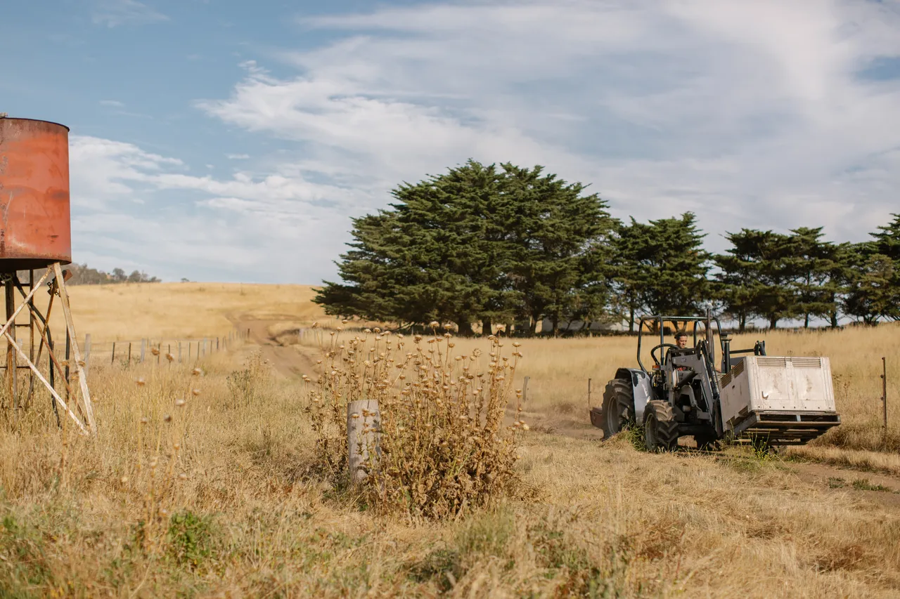 Man on Tractor