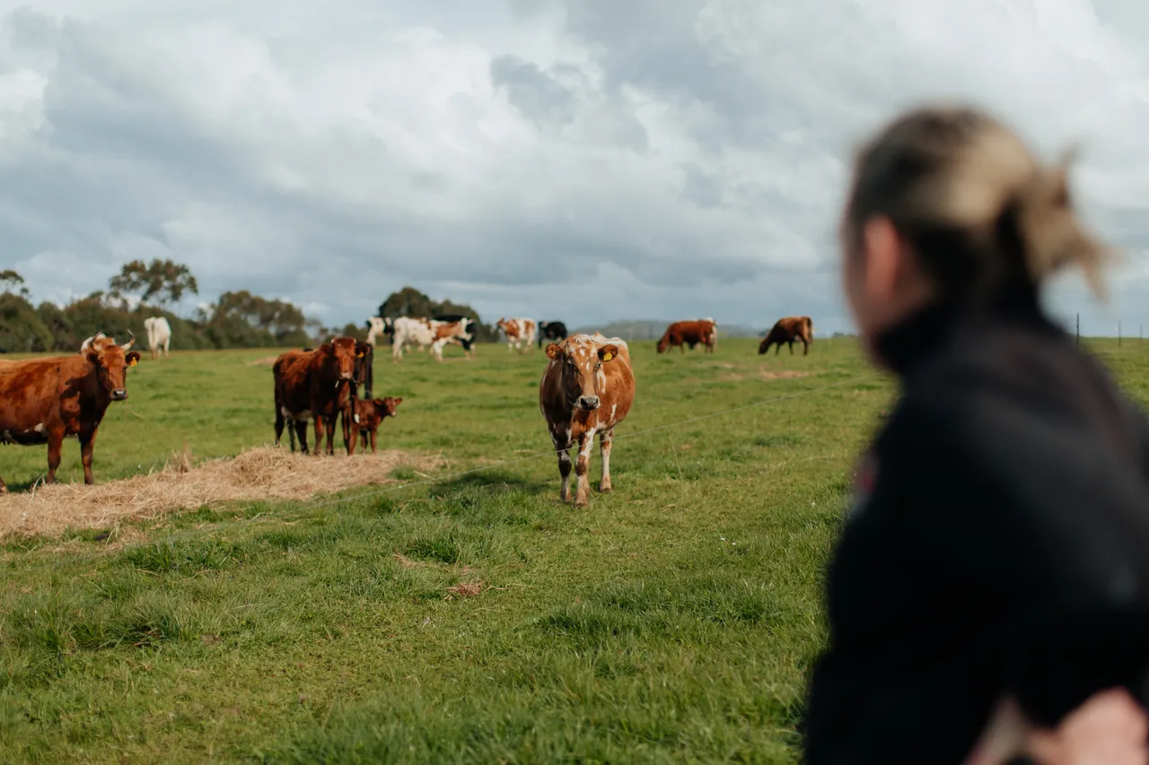 Red Cow Organics