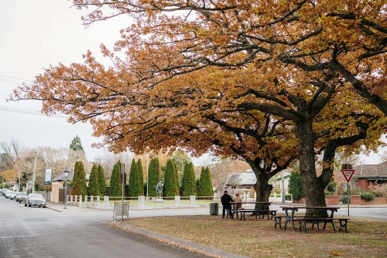 Evandale Streetscape