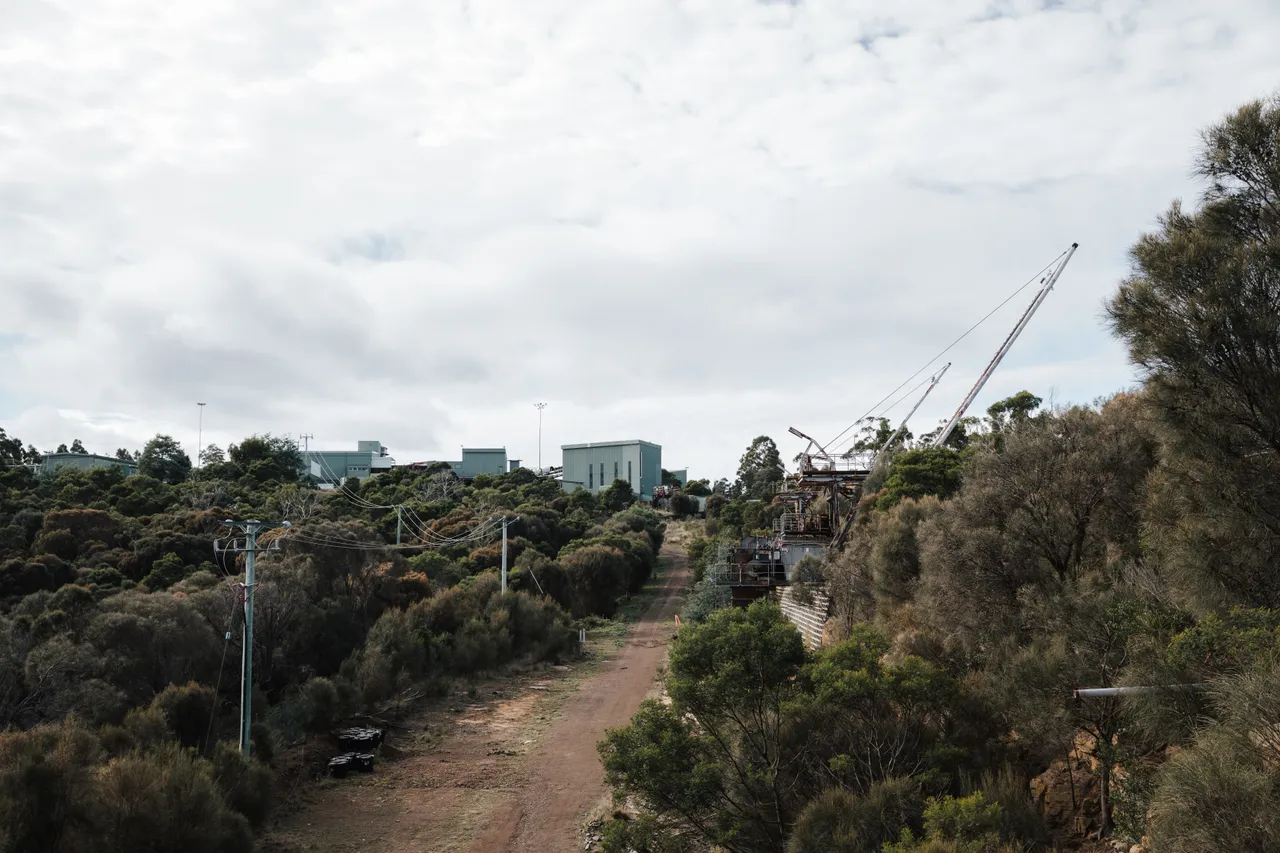 Spring Bay Mill 